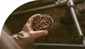 Miscele di caffè artigianali e selezionate