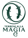 logo-on-image-verde